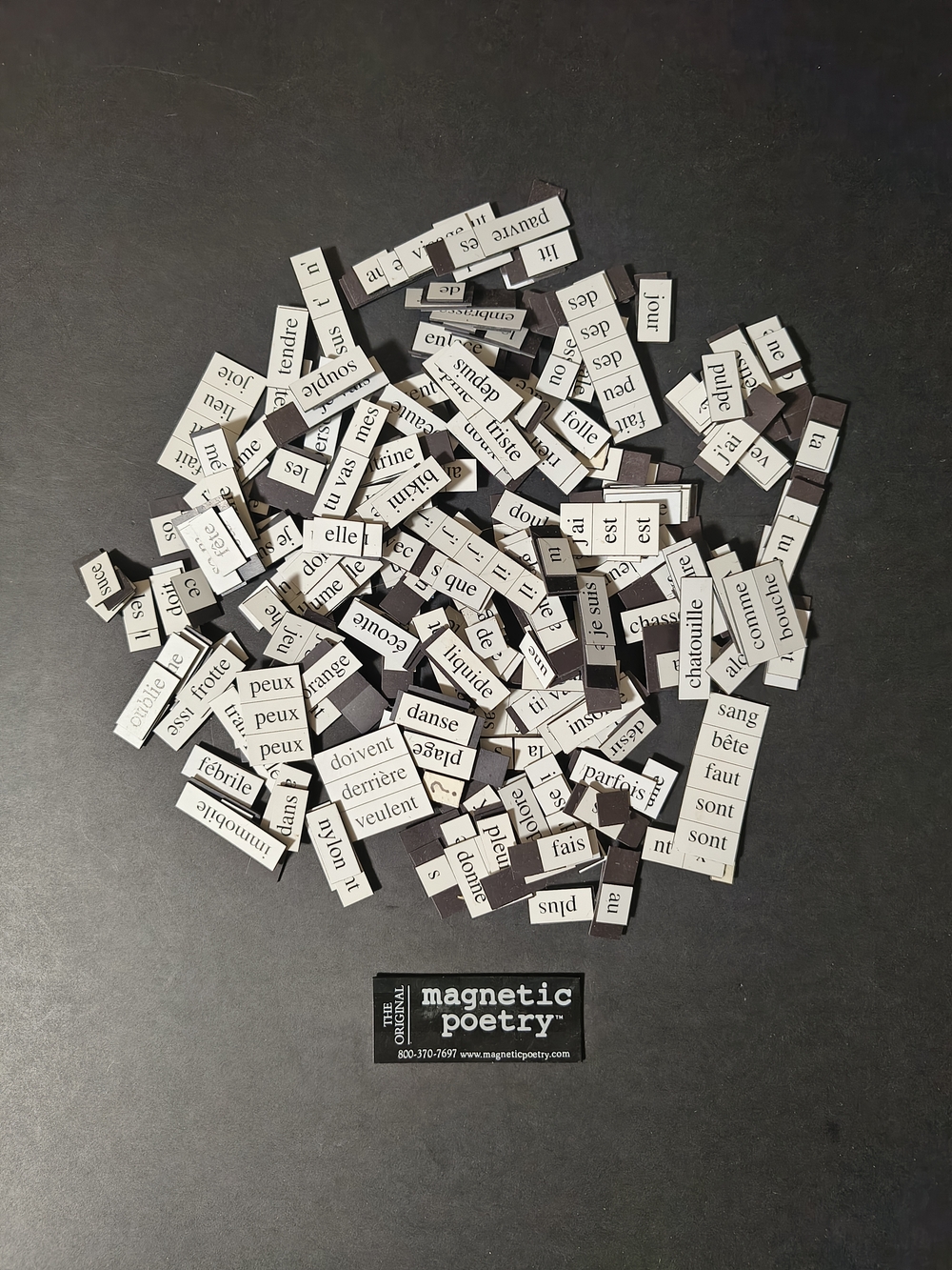 Magnetic Poetry French Word Kit - Black & White
